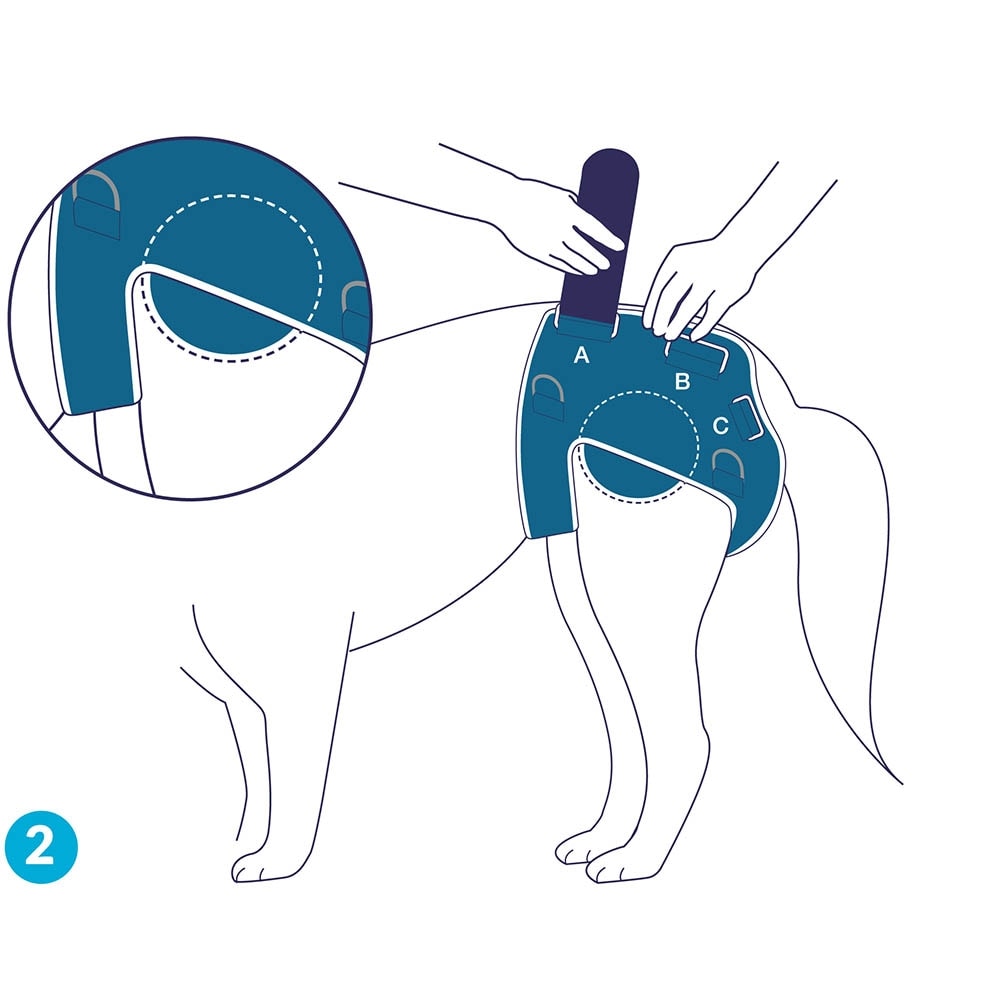 Balto Rehab BT Life_4