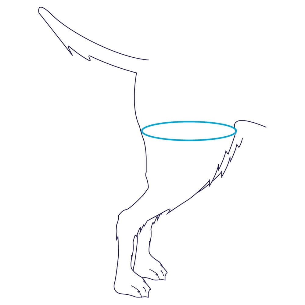 Balto Rehab BT Life_2