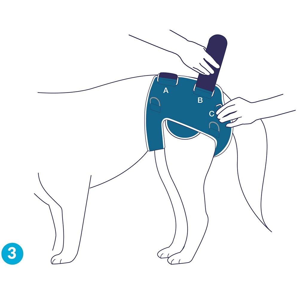 Balto Rehab BT Life_5