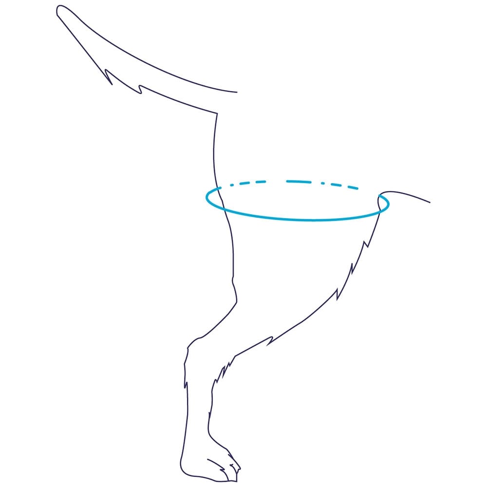 Balto Rehab Tragehilfe BT UP _2