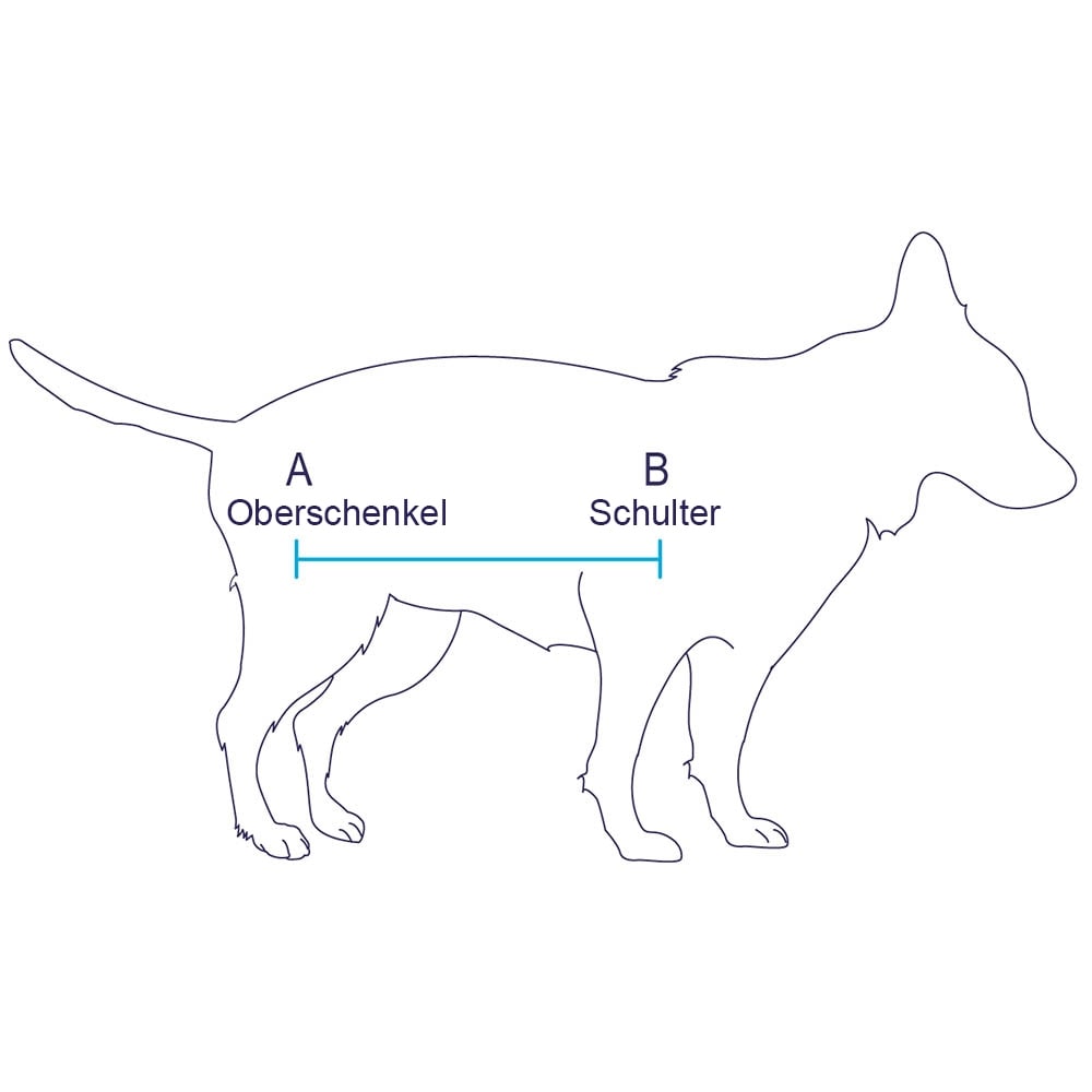 Balto Rehab Tragehilfe BT Body Lift_2