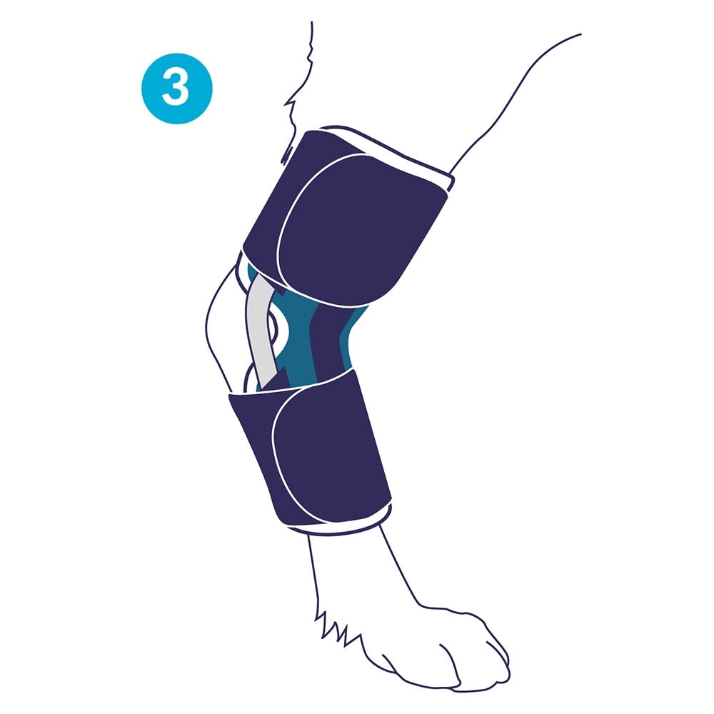 Balto Rehab-Orthese BT Hock_5