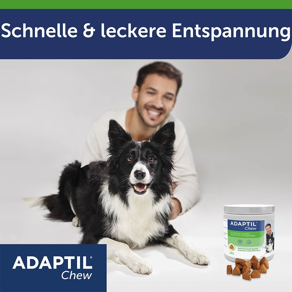 Adaptil Chew_6