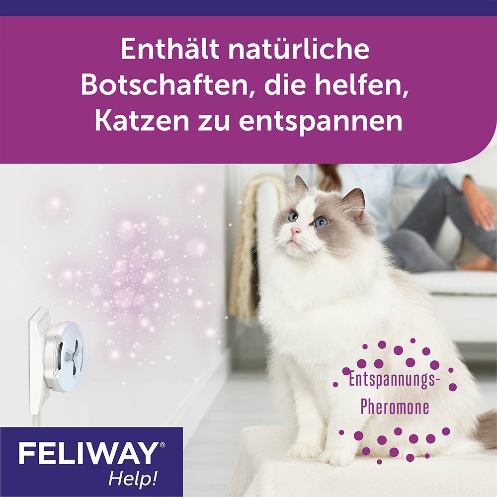 Feliway Help! Nachfüllset_4