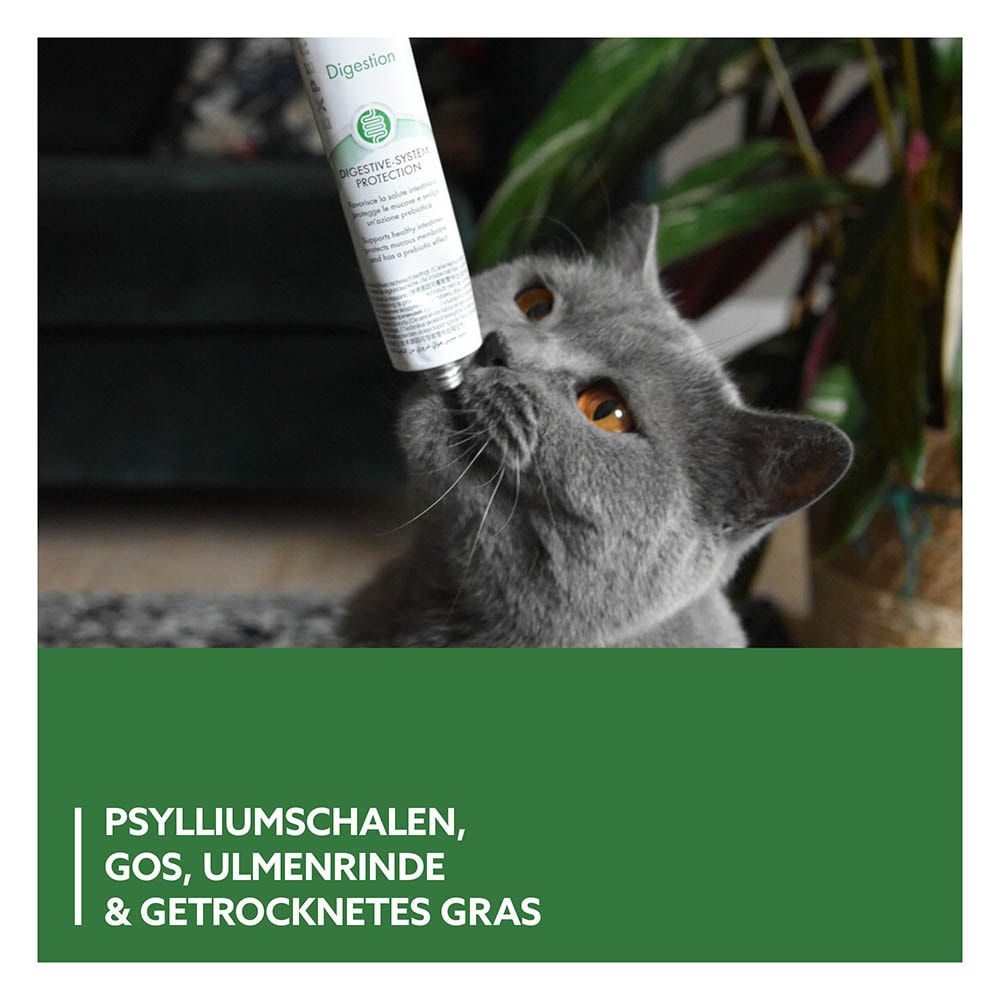 GimCat Gastro Intestinal Paste_4