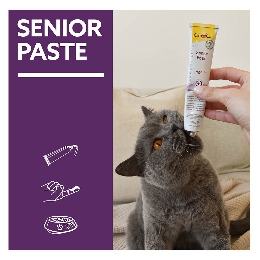 GimCat Senior Paste_5