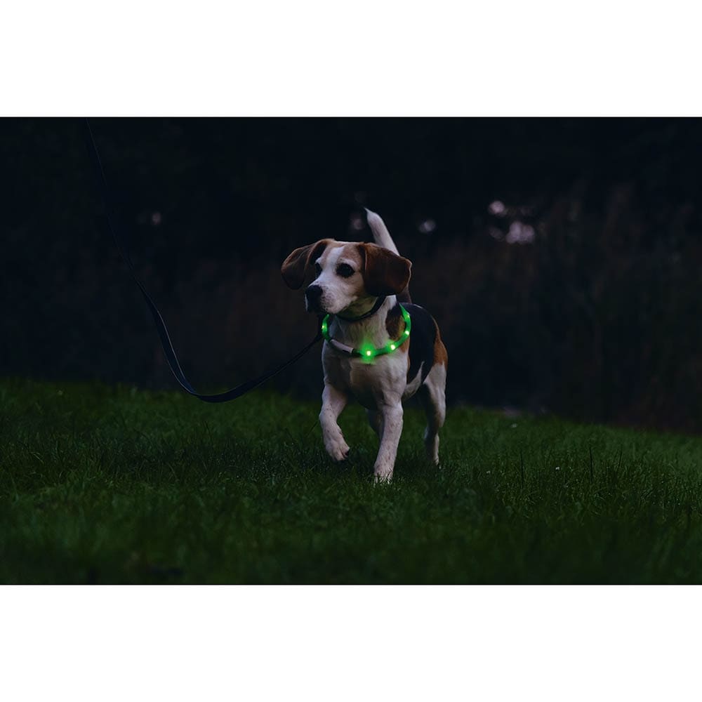 Beeztees Leuchthalsband Safety Gear Dogini grün_3
