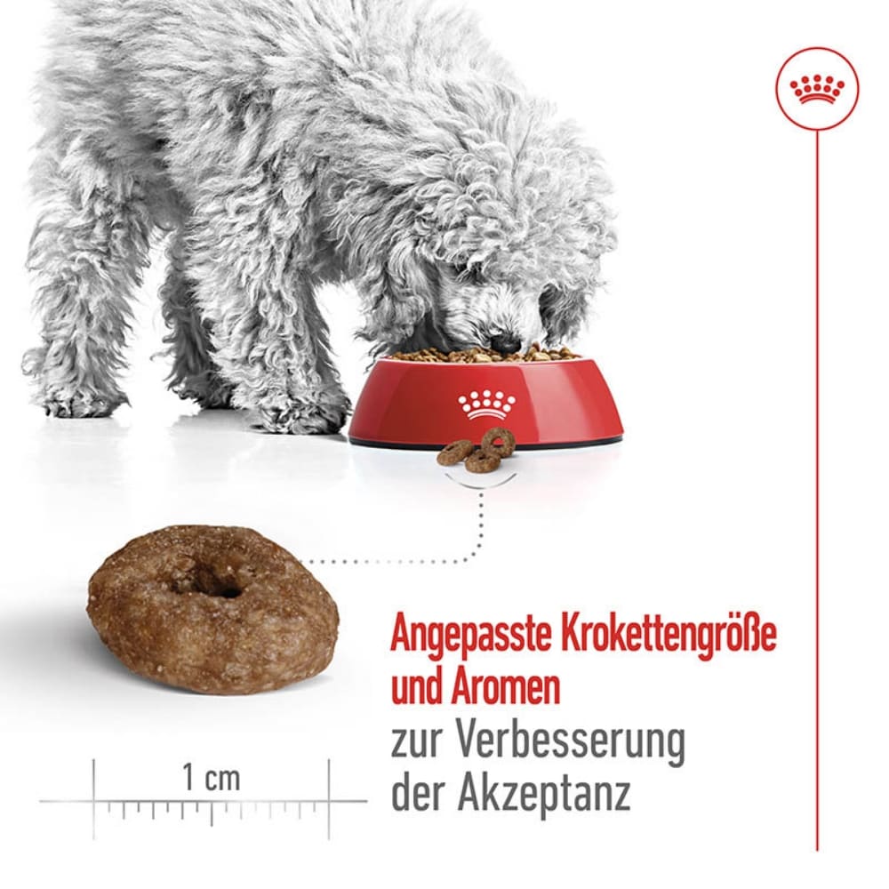 Royal Canin Mini Ageing 12+ Trockenfutter für ältere kleine Hunde_4