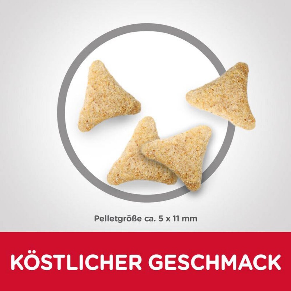 Hills Science Plan Feline Adult Indoor Cat Huhn_3