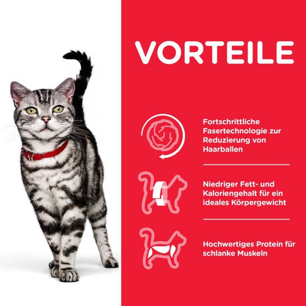 Hills Science Plan Feline Adult Indoor Cat Huhn_2