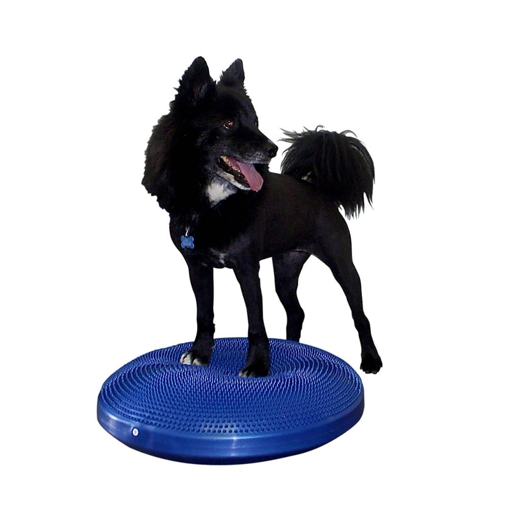 FitPaws Balance Disc_2