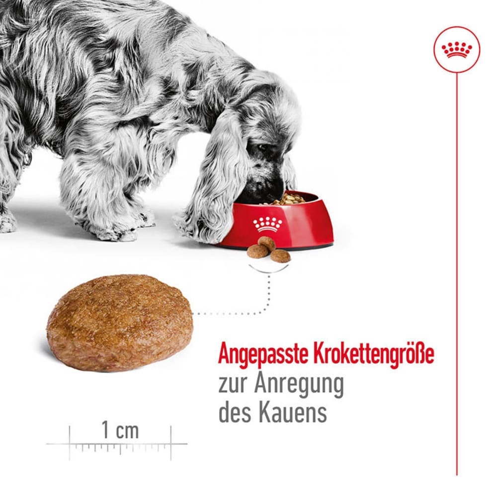 Royal Canin Medium Adult 7+ Trockenfutter für ältere mittelgroße Hunde_3