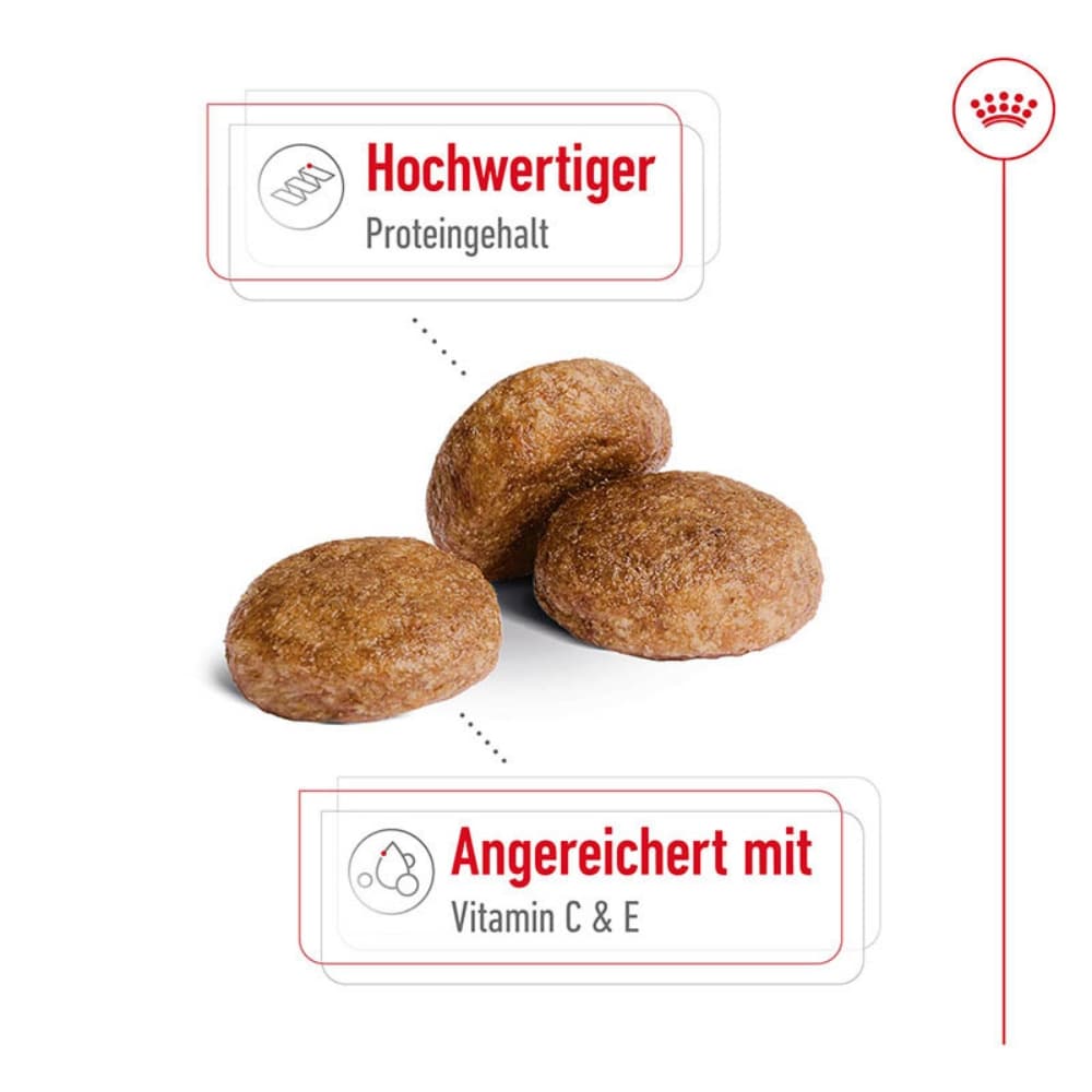 Royal Canin Medium Adult 7+ Trockenfutter für ältere mittelgroße Hunde_4