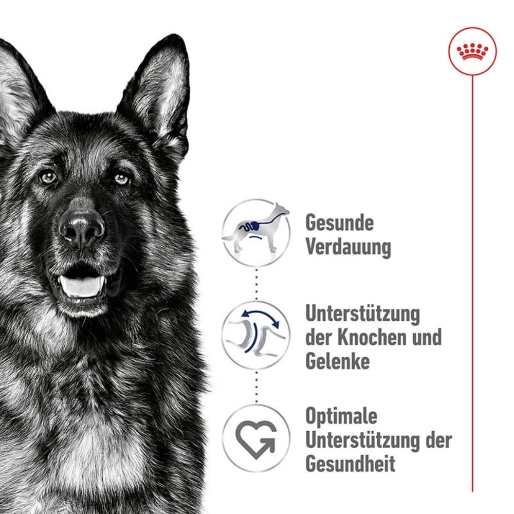 Royal Canin Maxi Adult Trockenfutter für große Hunde_2