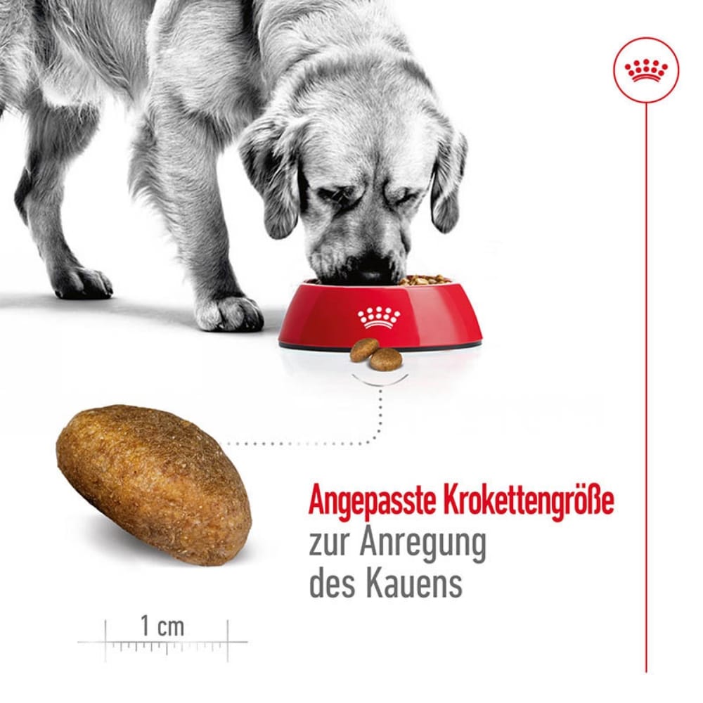 Royal Canin Maxi Adult Trockenfutter für große Hunde_3