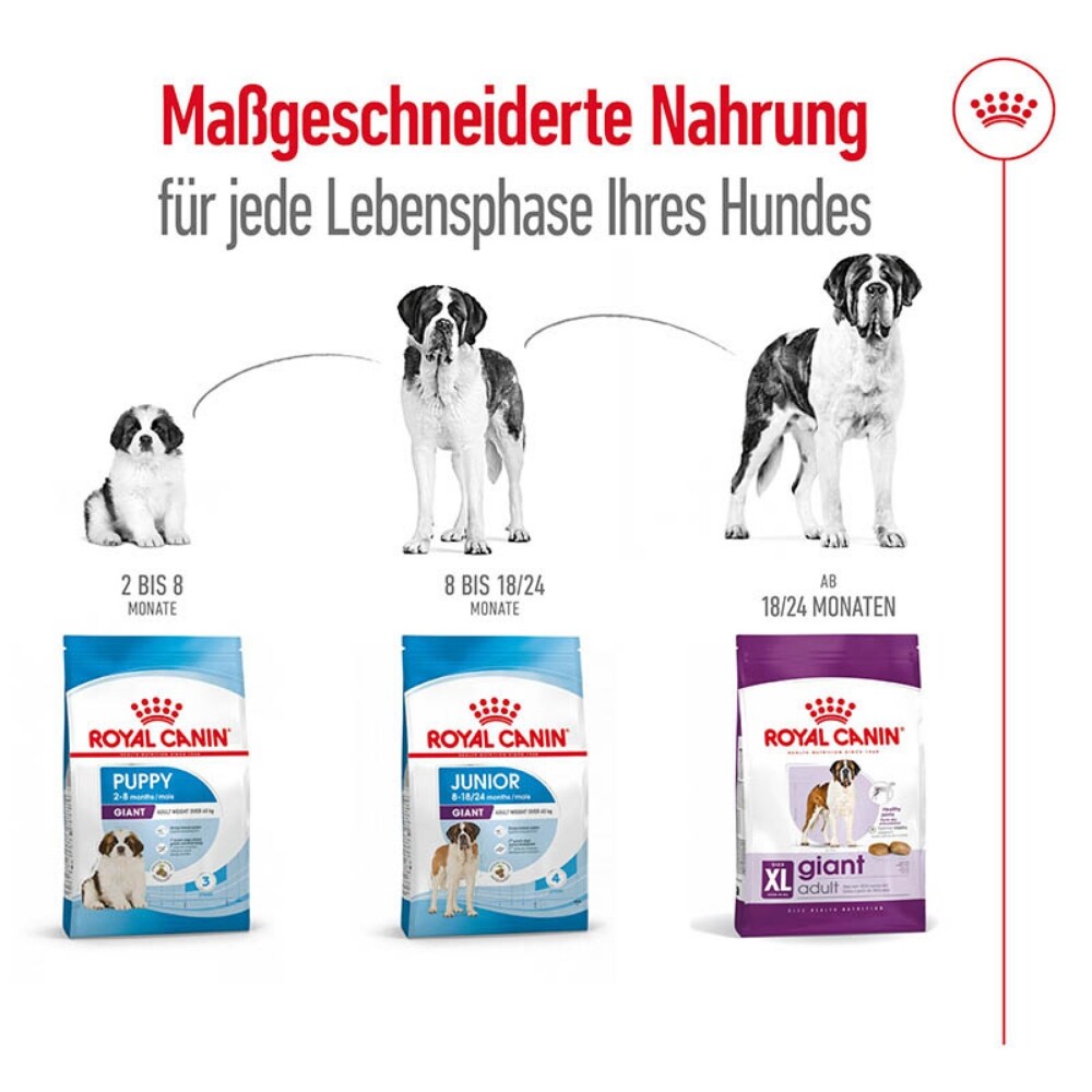 Royal Canin Giant Adult Trockenfutter für sehr große Hunde_5