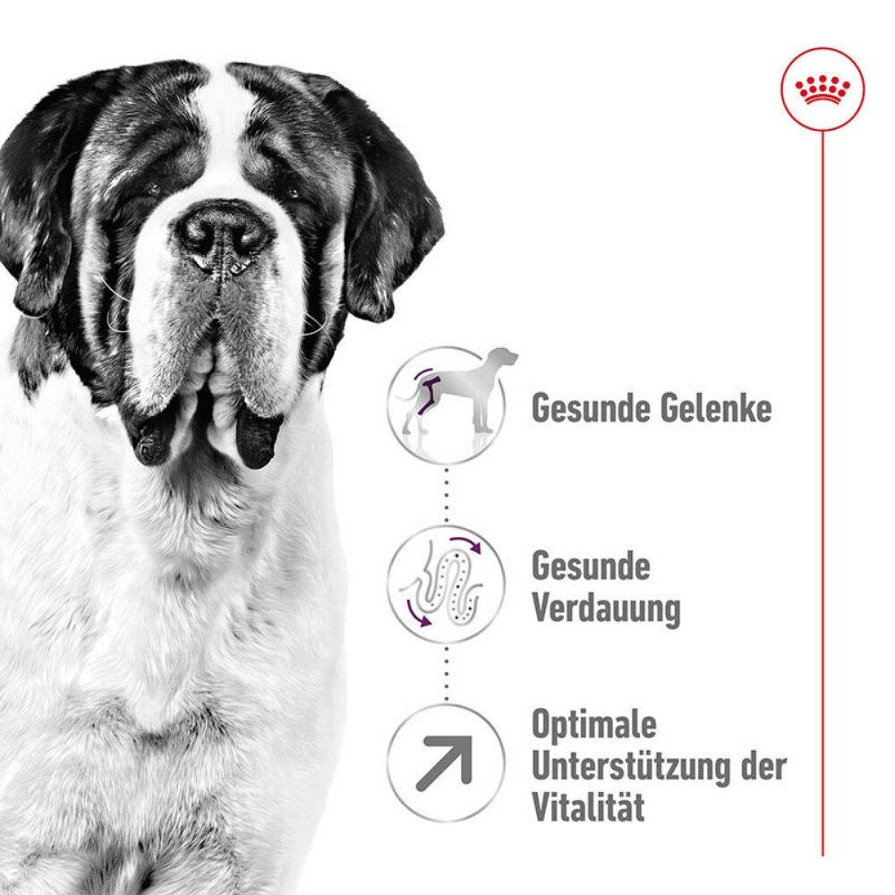 Royal Canin Giant Adult Trockenfutter für sehr große Hunde_2