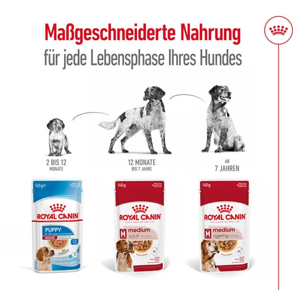 Royal Canin Medium Adult  Feuchtnahrung als Stückchen in Soße (>12. Lebensmonat)_4