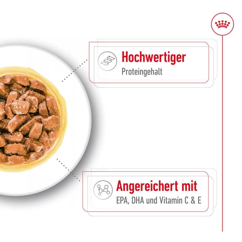 Royal Canin Medium Ageing Feuchtnahrung als Stückchen in Soße (>7. Lebensjahr)_3
