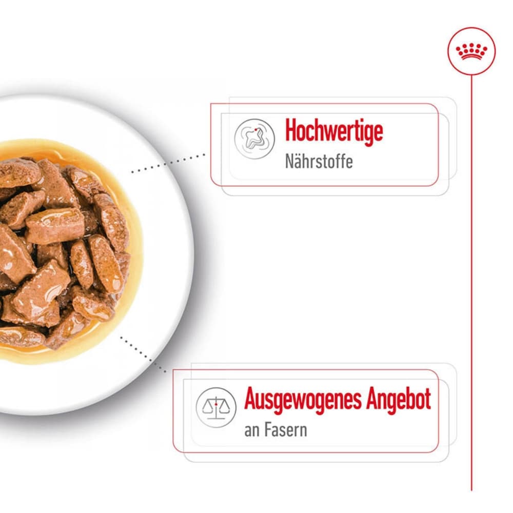 Royal Canin Maxi  Adult  Feuchtnahrung als Stückchen in Soße (>15. Lebensmonat)_3