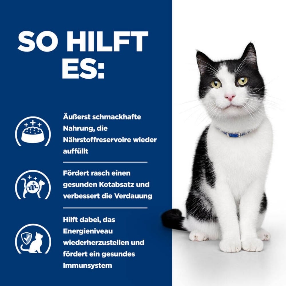 Hills Prescription Diet i/d Lachs Frischebeutel Katze_4