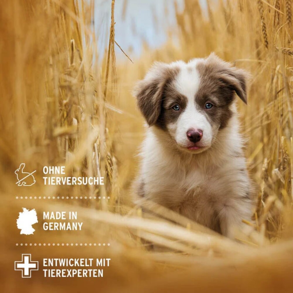 AniForte Aloe Vera Shampoo für Welpen_6