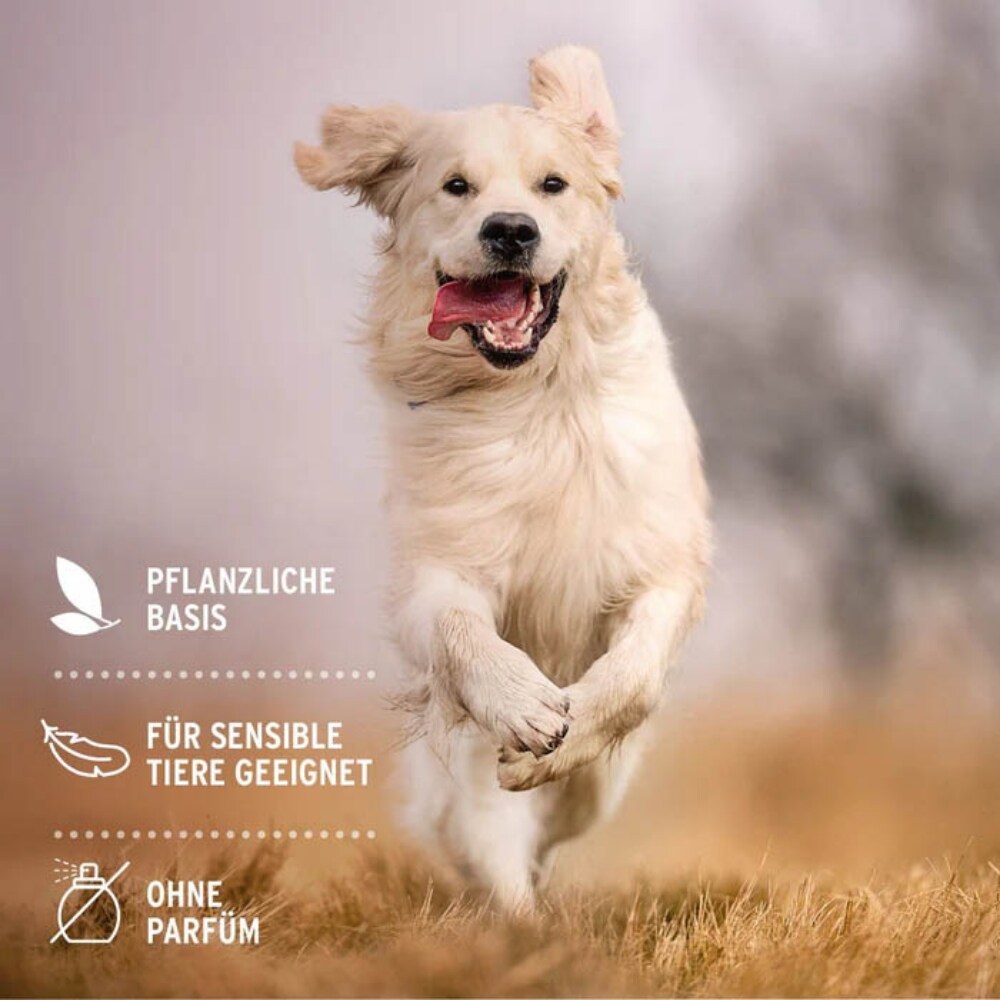 AniForte Ohren-Reinigungspads_6