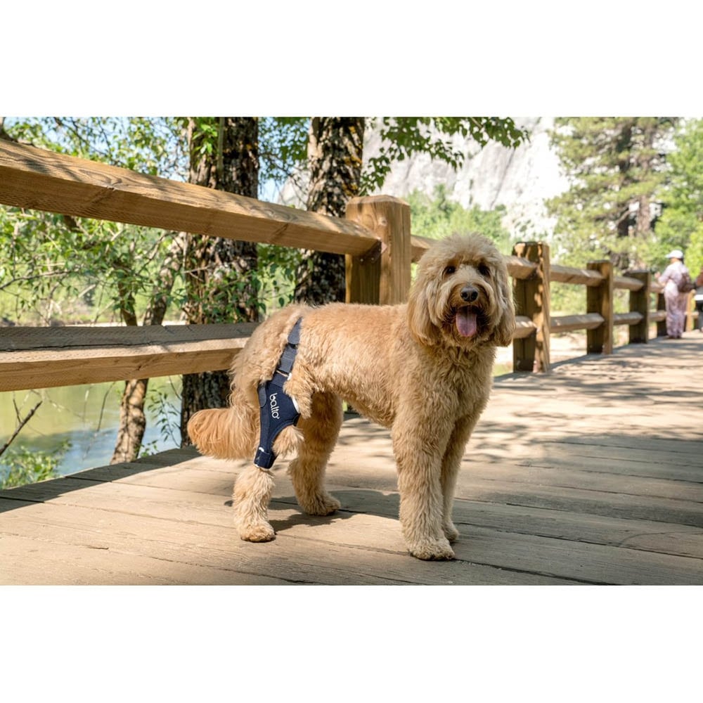 Balto Rehab-Orthese BT Jump rechts_2