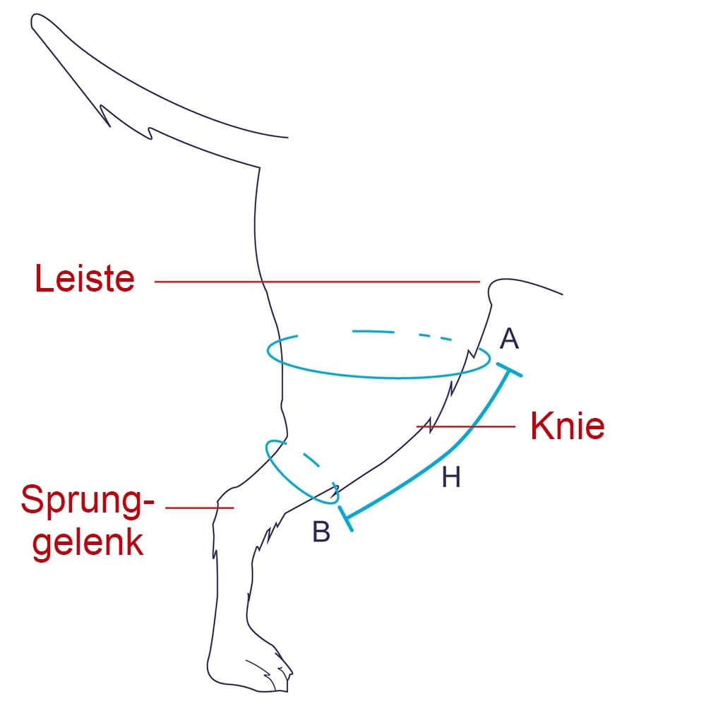 Balto Rehab-Orthese BT Jump links_3