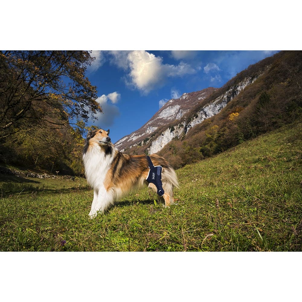 Balto Rehab-Orthese BT Jump links_2