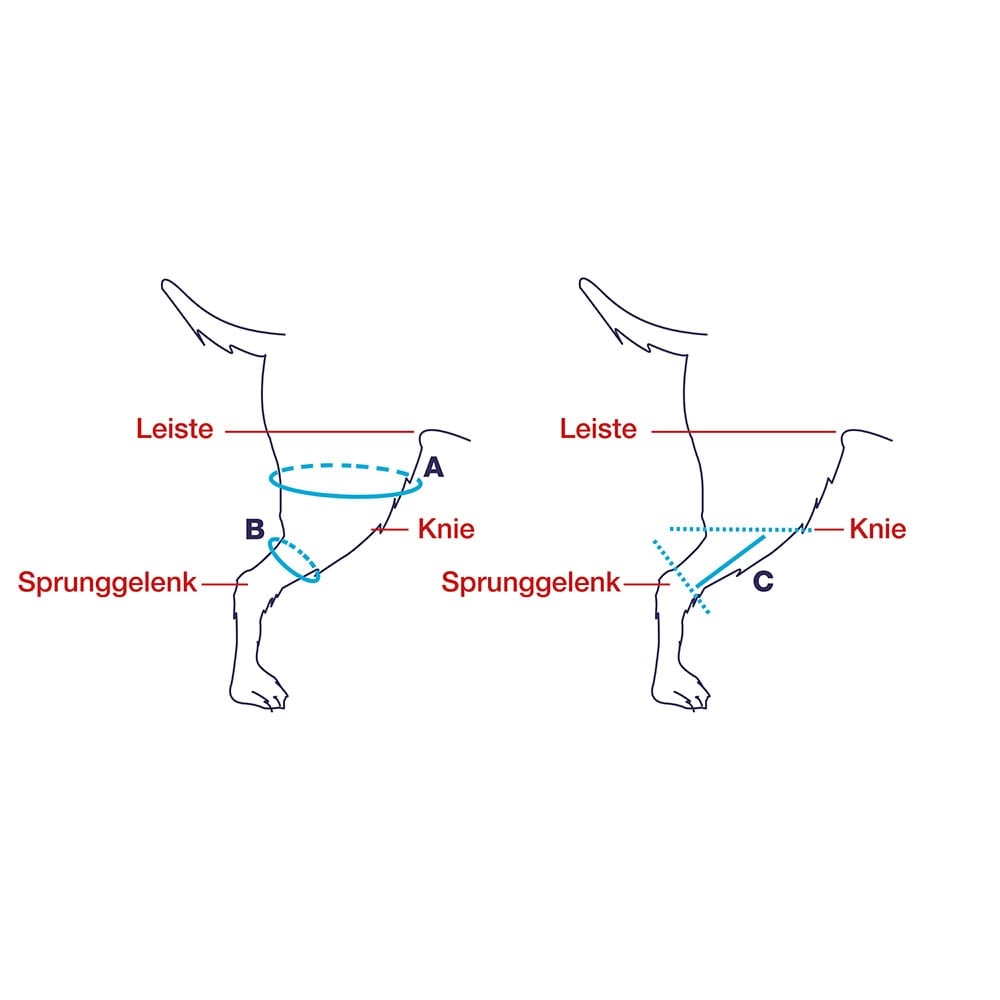 Balto Rehab Knie-Orthese Ligatek rechts_2