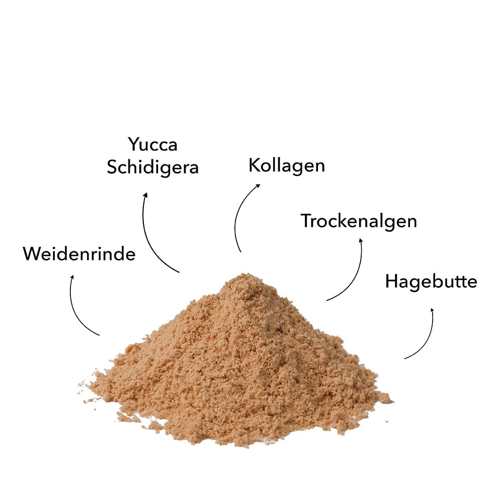 Herosan entoVITAL Dog move_2