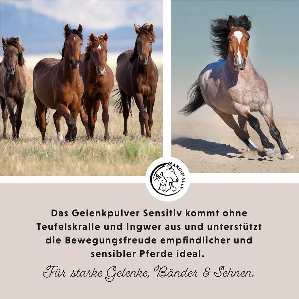 Annimally Bewegungsfreude Sensitiv_3
