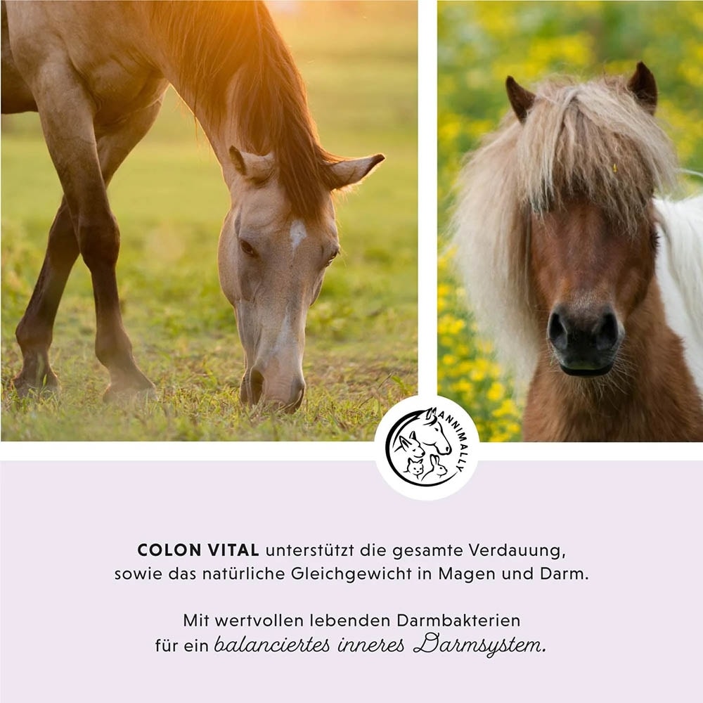 Annimally Colon Vital_2