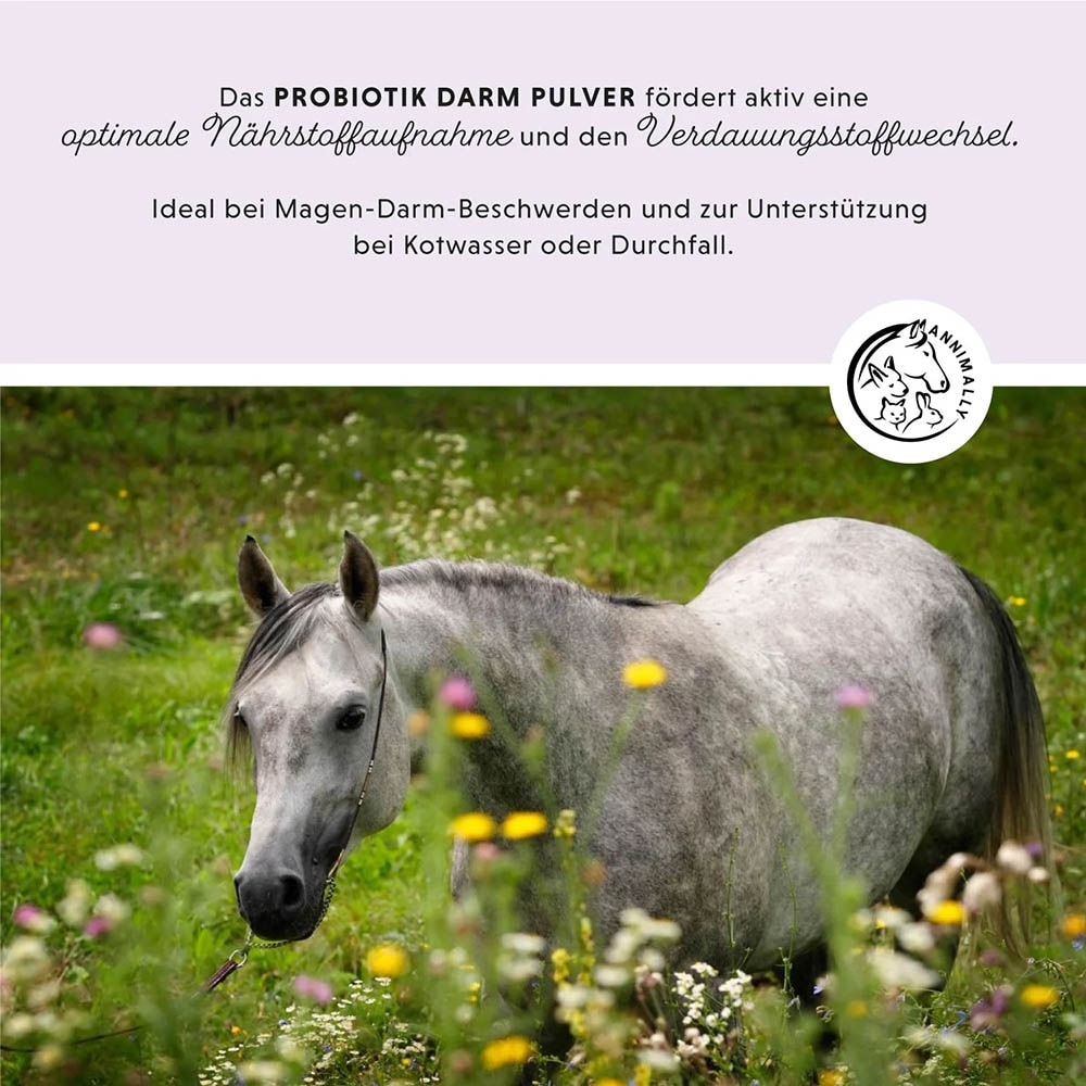 Annimally Colon Vital_3