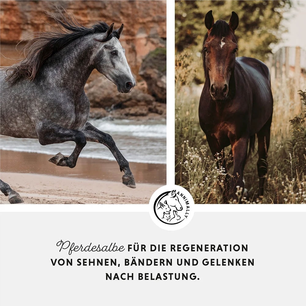 Annimally Pferdesalbe_3