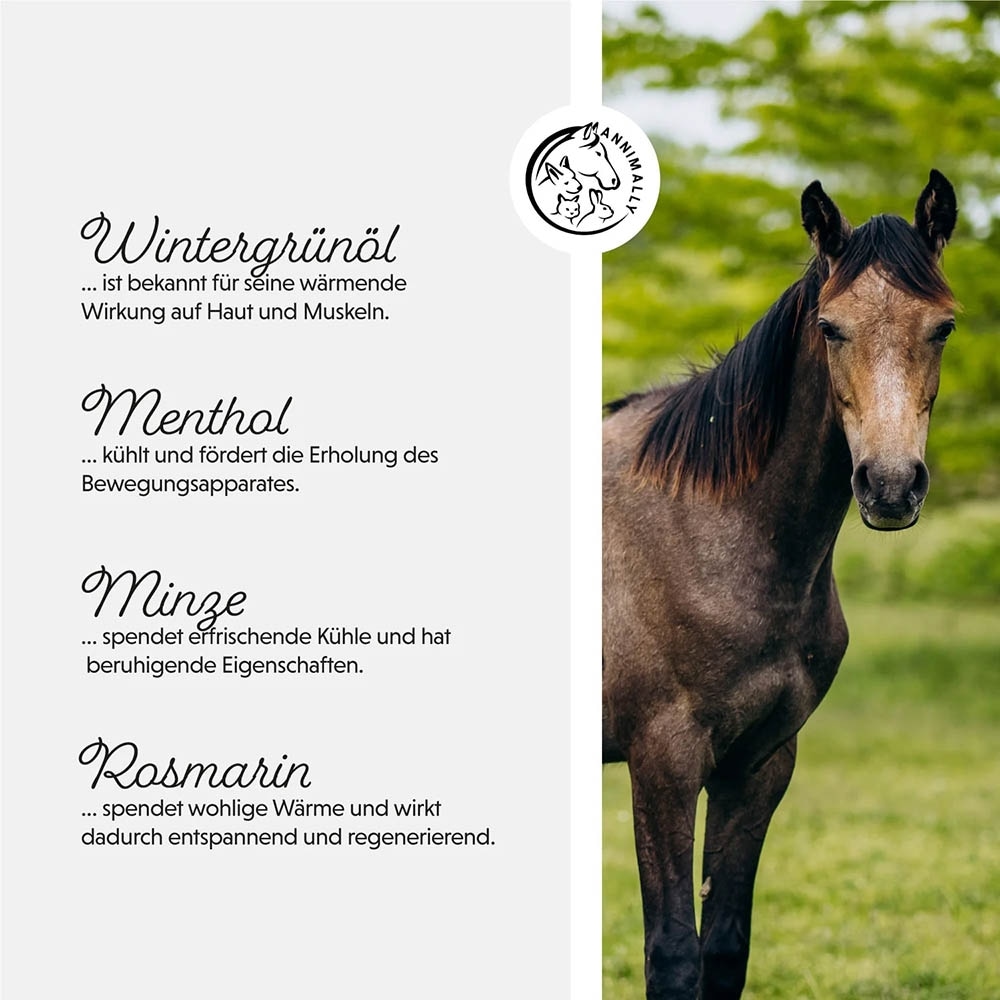 Annimally Pferdesalbe_7