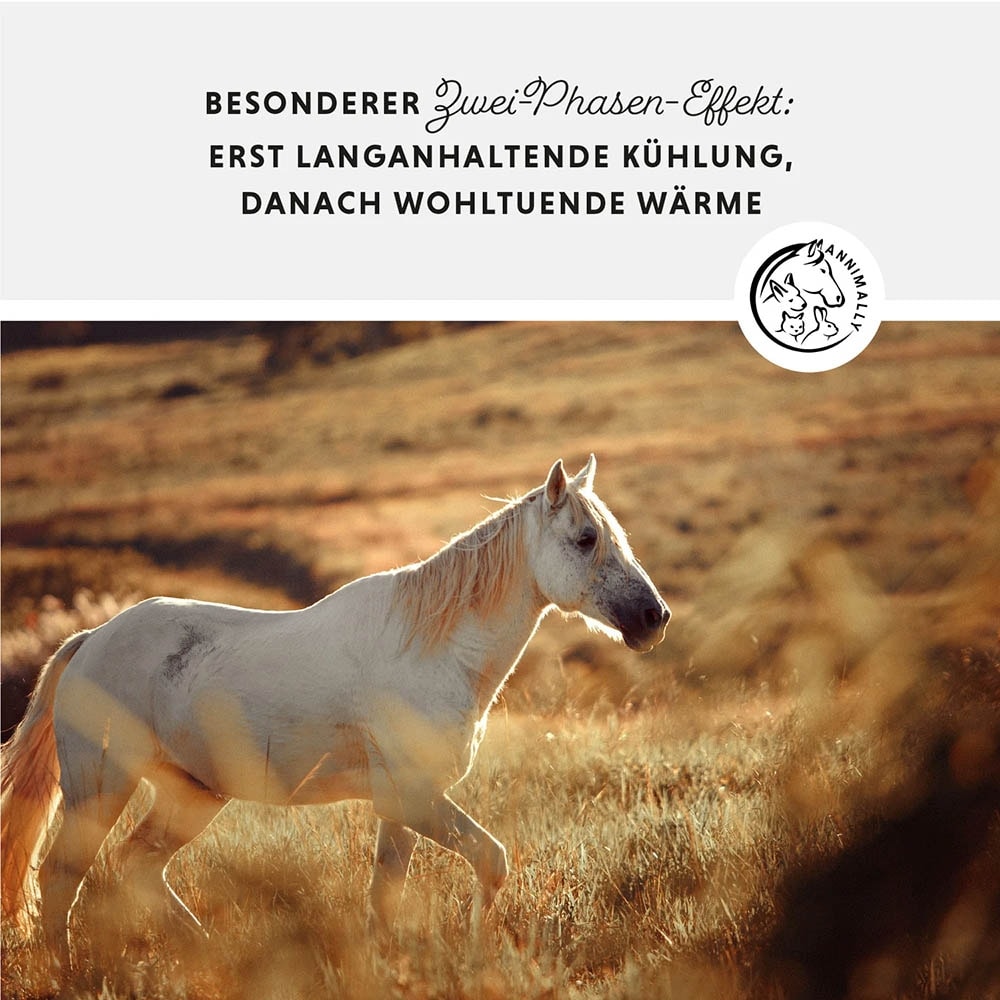 Annimally Pferdesalbe_4