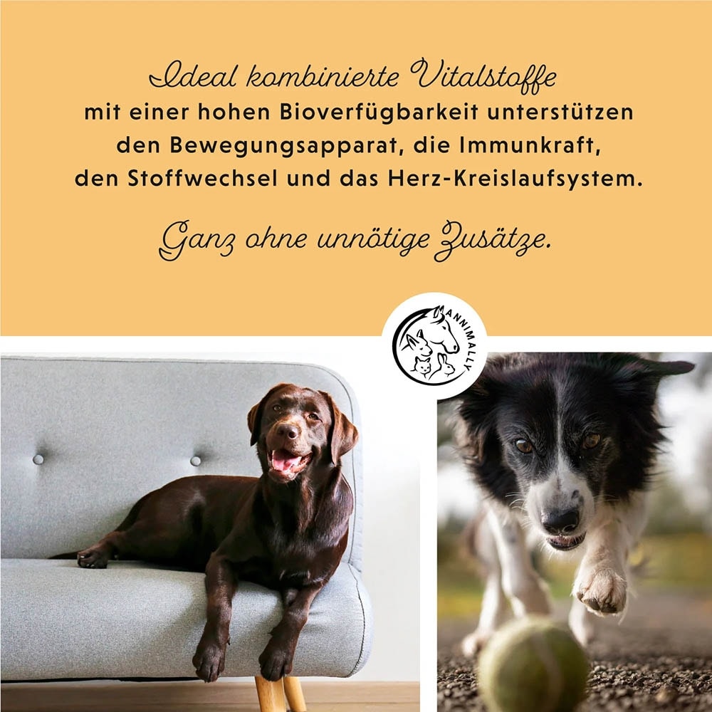 Annimally Senior Vital Tabletten_4