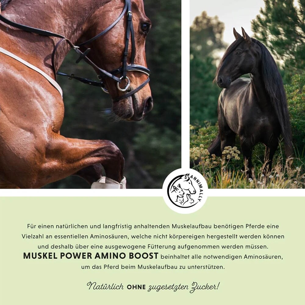 Annimally Muskelpower Pulver_3