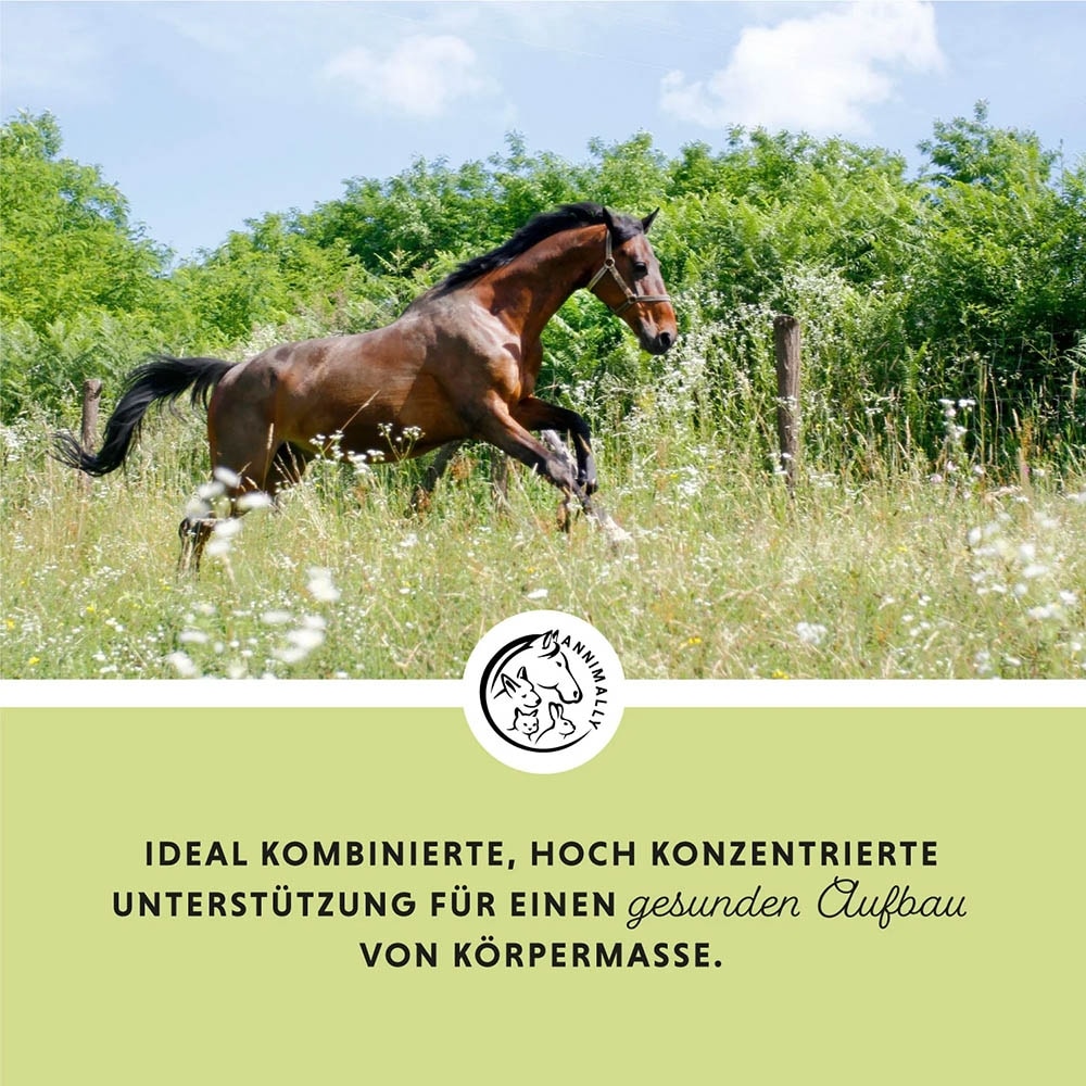 Annimally Weight Gainer_2