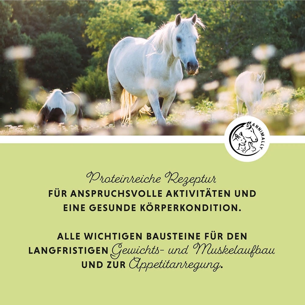 Annimally Weight Gainer_4