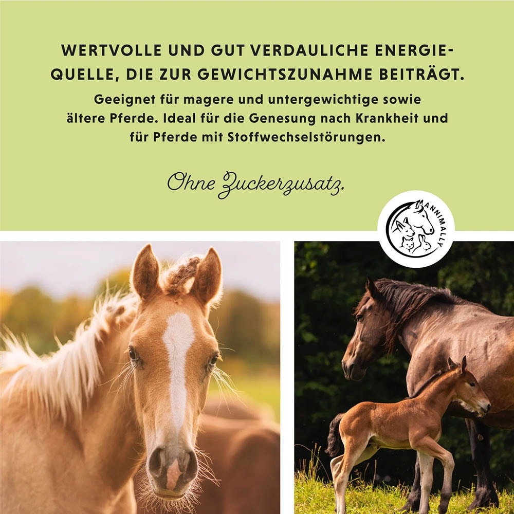 Annimally Weight Gainer_3