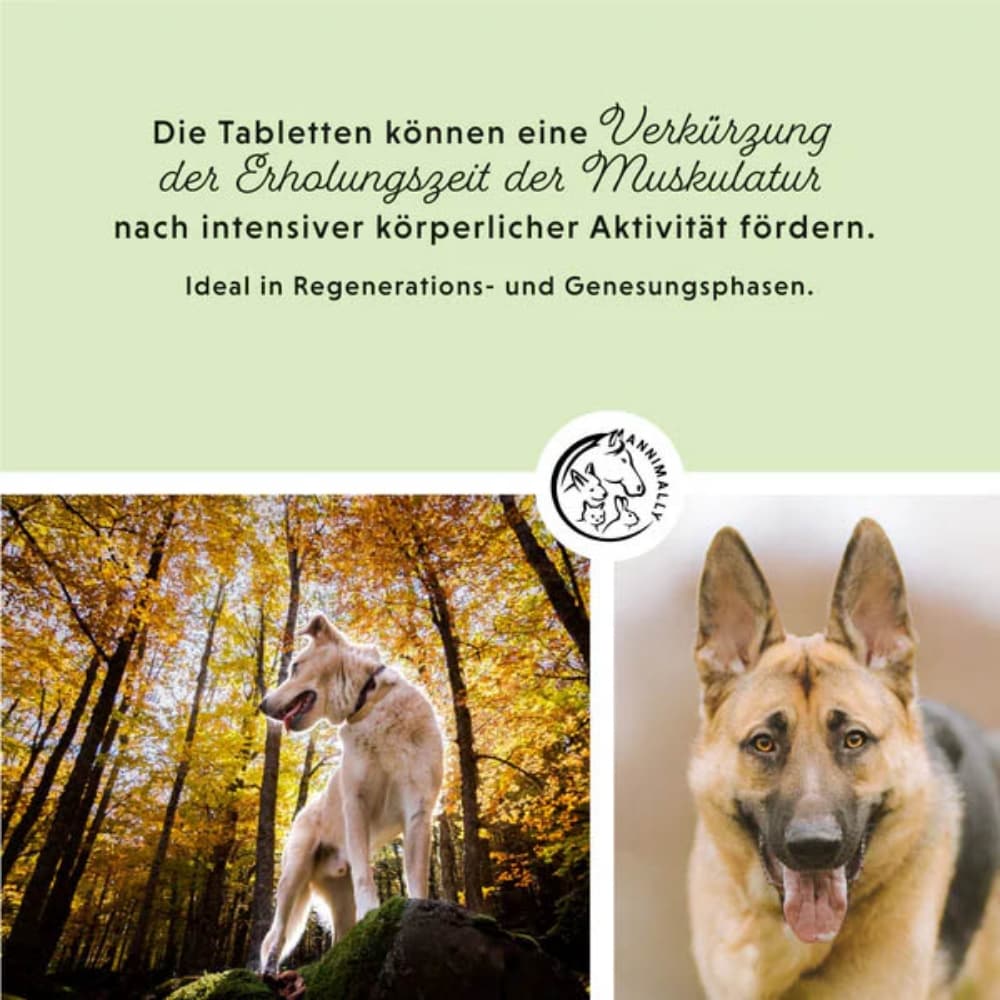 Annimally Muskelpower Tabletten _5