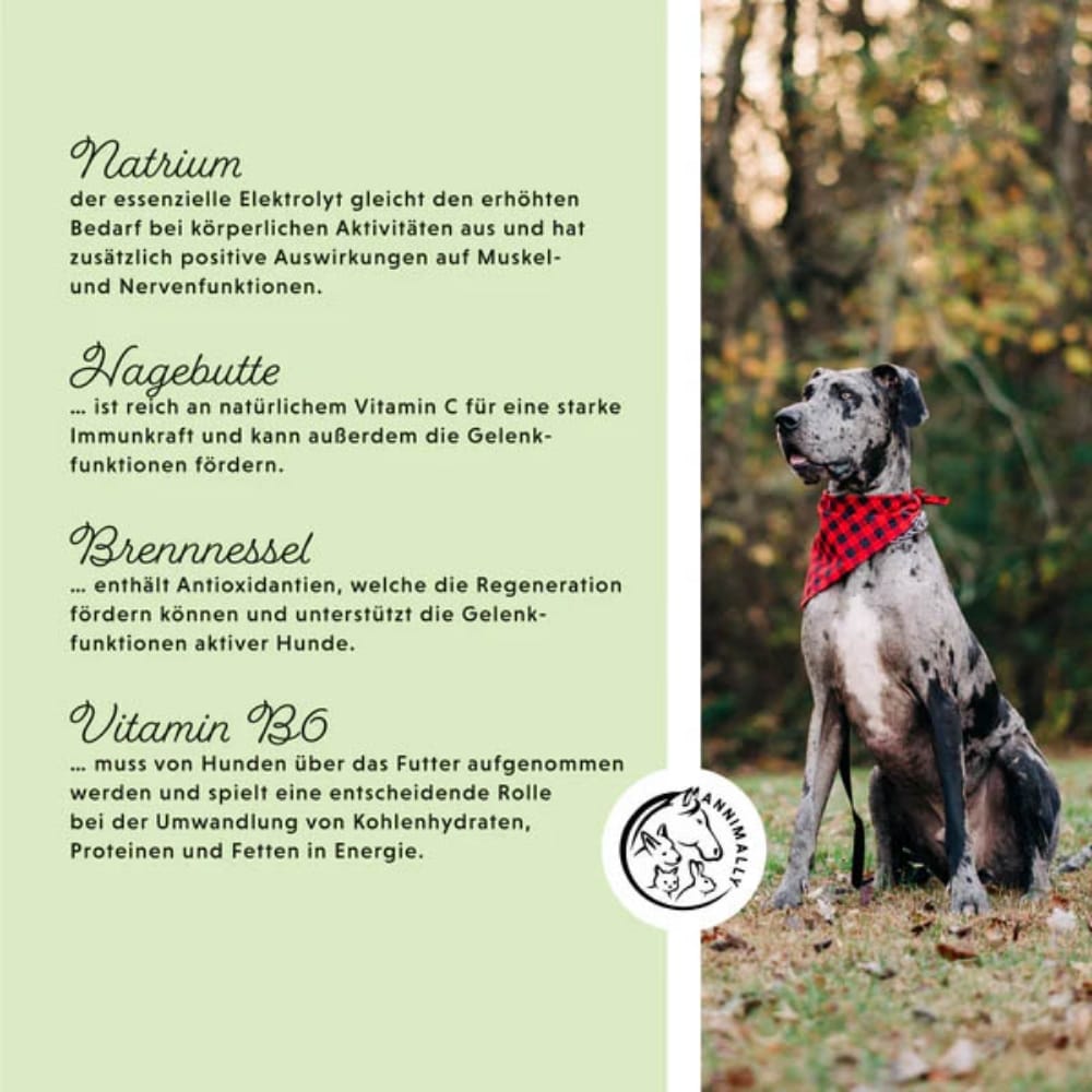 Annimally Muskelpower Tabletten _3