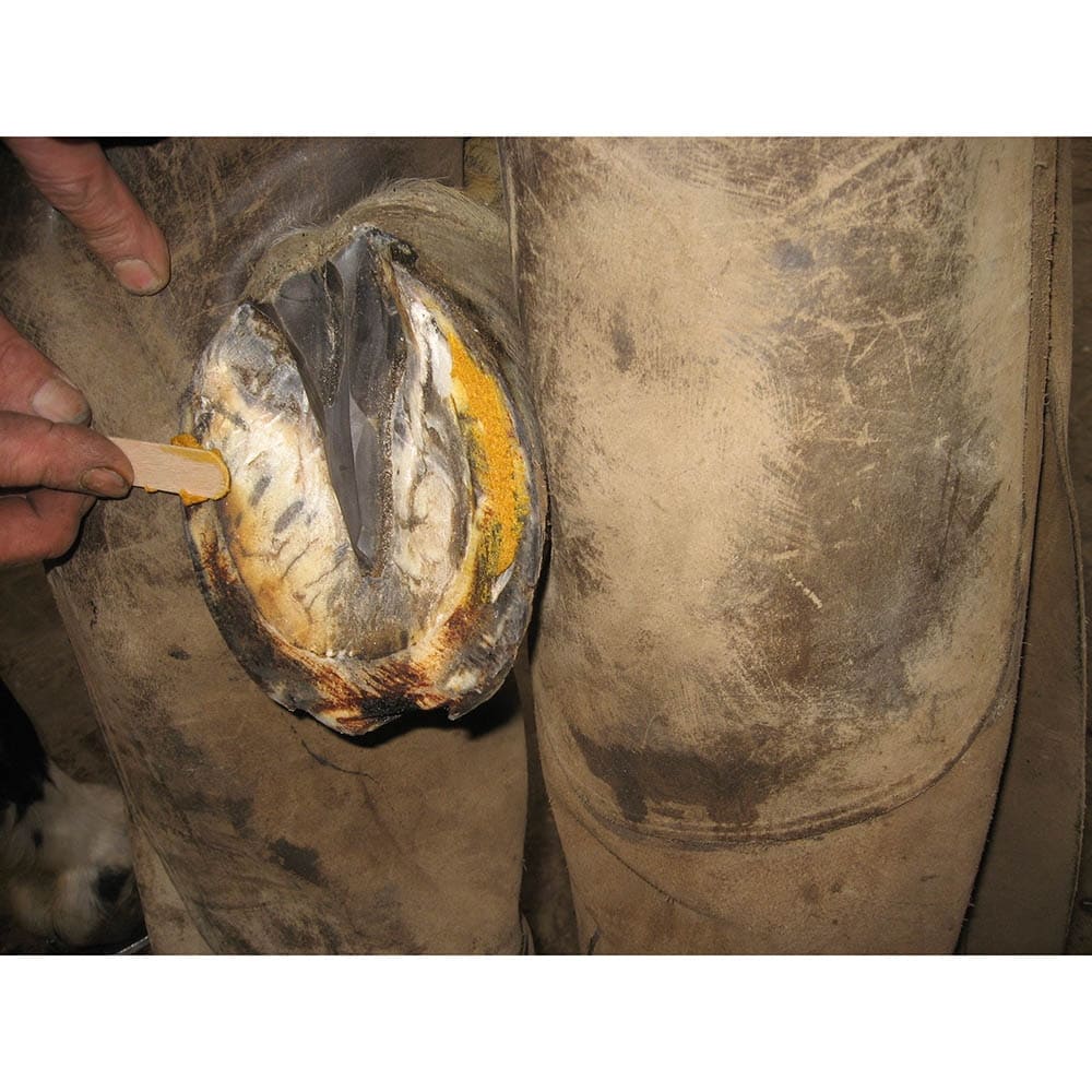 Keralit Undercover_4