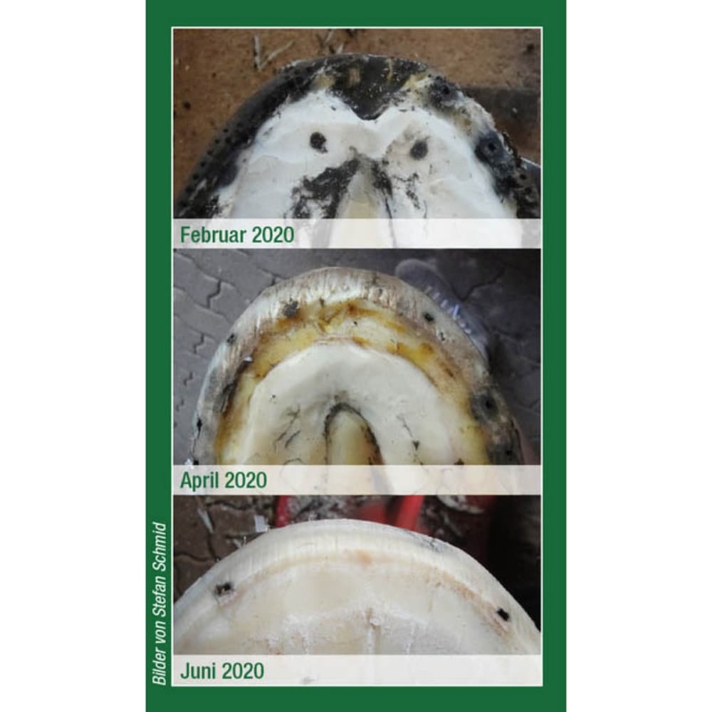 Keralit Undercover_6