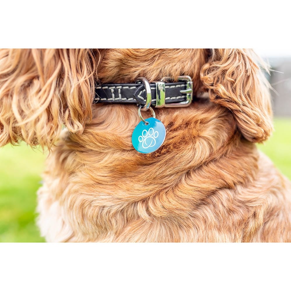 Sure Petcare RFID-Halsbandanhänger_3