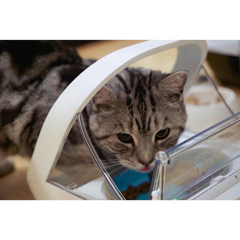 SureFeed Mikrochip-gesteuerter Futterautomat_6