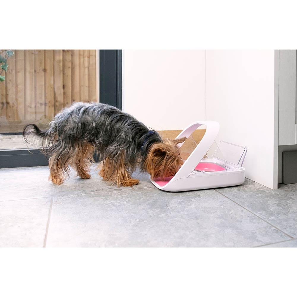 SureFeed Mikrochip-gesteuerter Futterautomat Connect_5